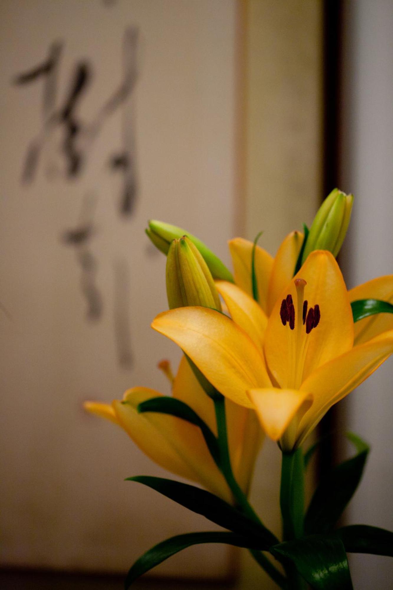 Kimi Ryokan Tokyo Exterior photo